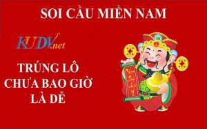 meo danh lo mien nam 1